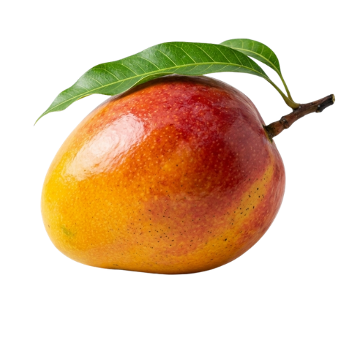 Mangga Premium